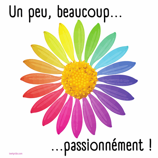 Un peu beaucoup passionnement gay