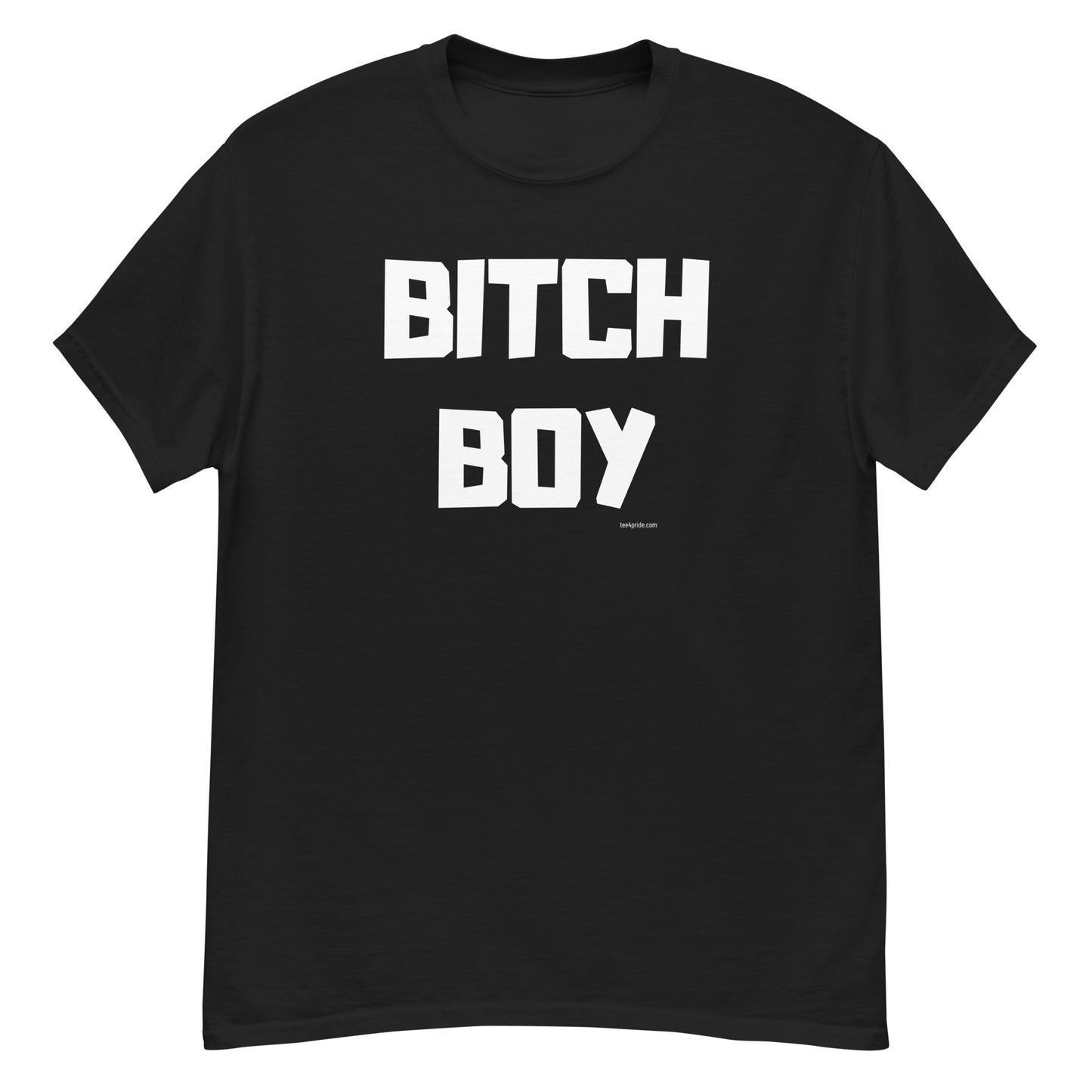 gay bitch