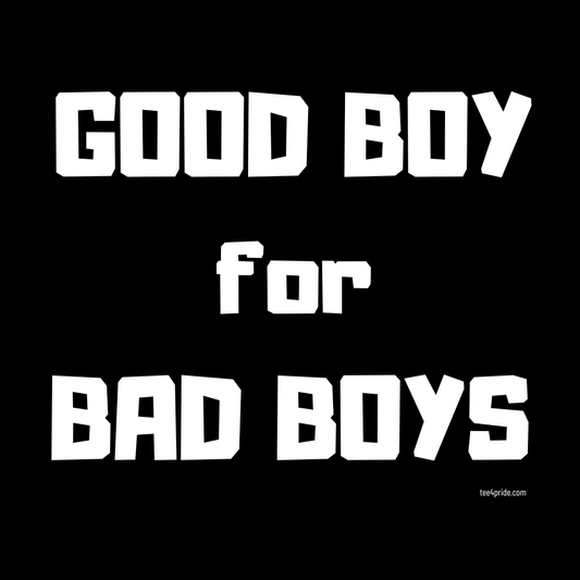good boy for bad boys