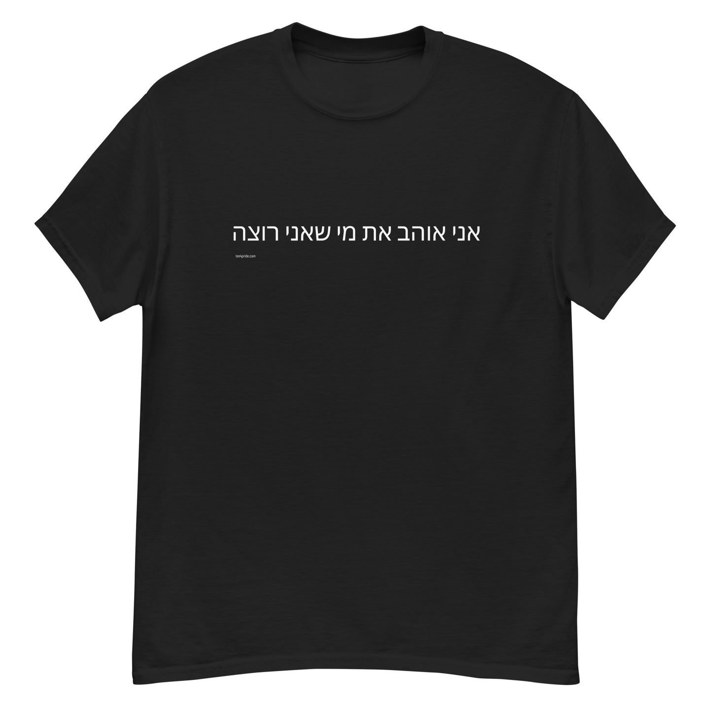 t-shirt gay hebreu