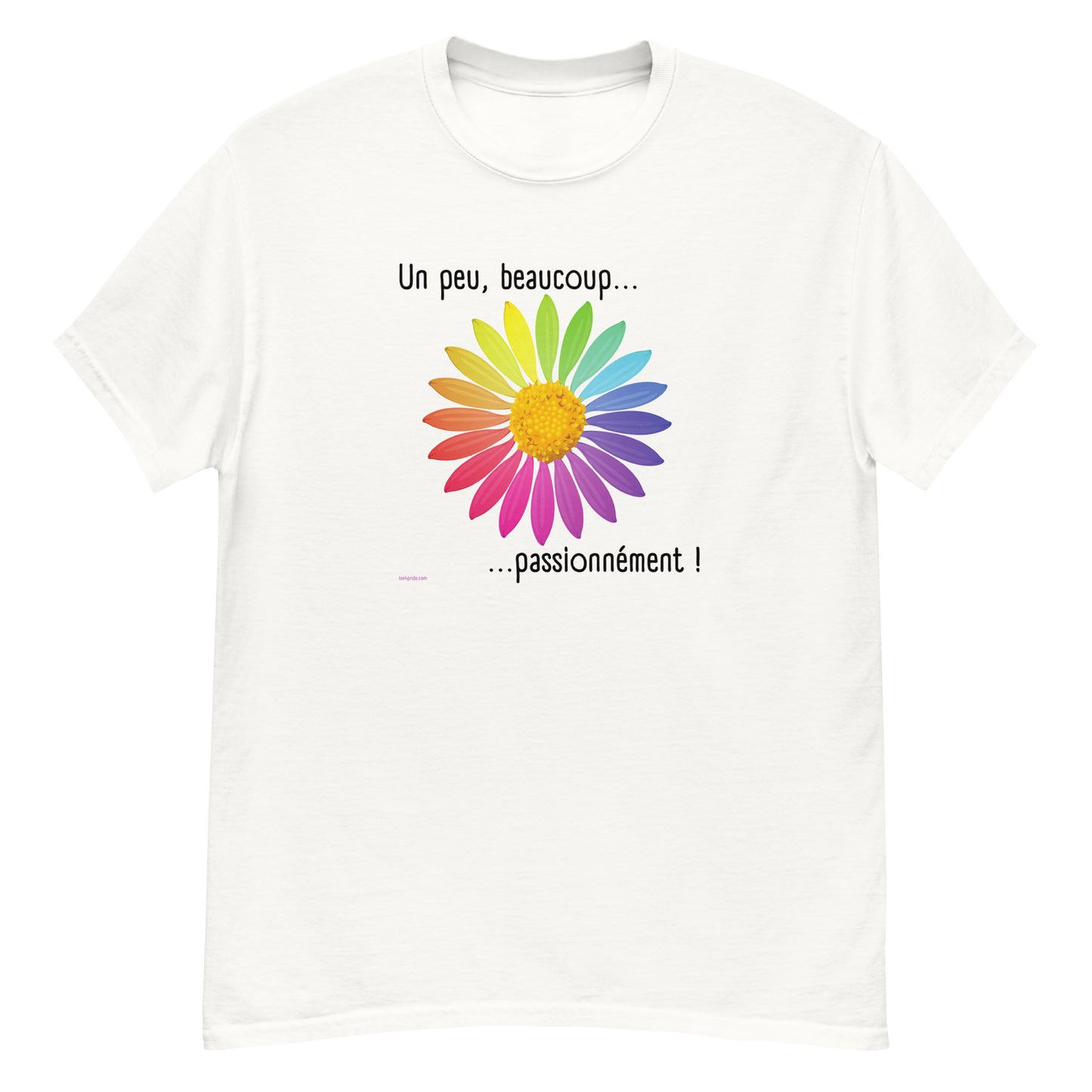 tee shirt rainbow