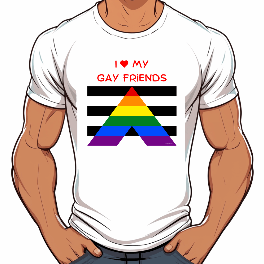 T shirt Drapeau gay friendly