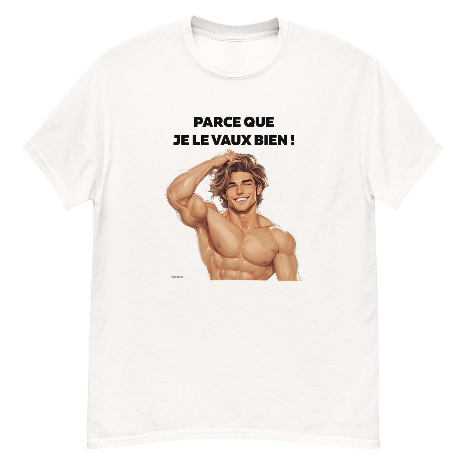 t-shirt amusant gay