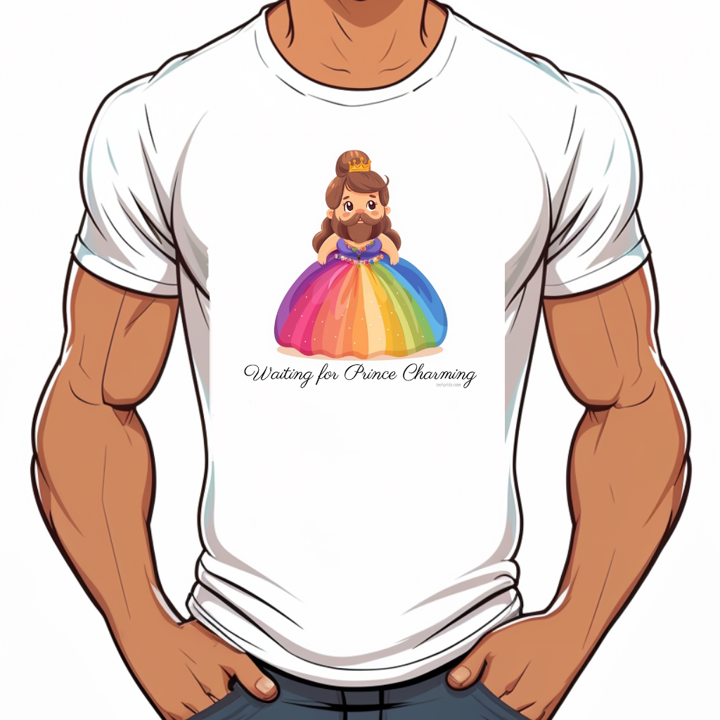 t shirt gay rainbow prince charmant